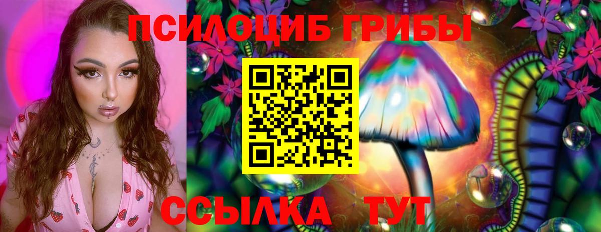 Галлюциногенные грибы GOLDEN TEACHER  Вход с VPN  Галлюциногенные грибы MAGIC MUSHROOMS  Североуральск 